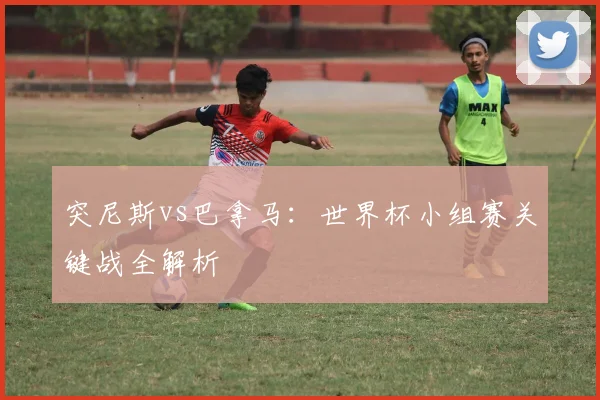 突尼斯vs巴拿马：世界杯小组赛关键战全解析