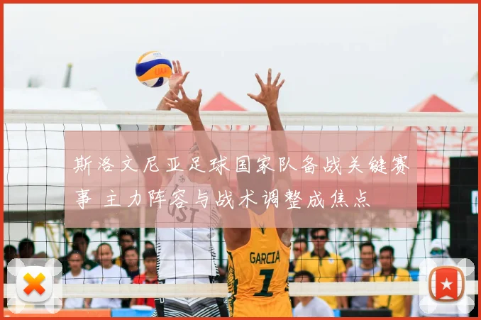 斯洛文尼亚足球国家队备战关键赛事 主力阵容与战术调整成焦点