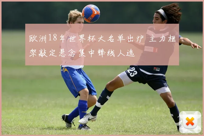 欧洲18年世界杯大名单出炉 主力框架敲定悬念集中锋线人选