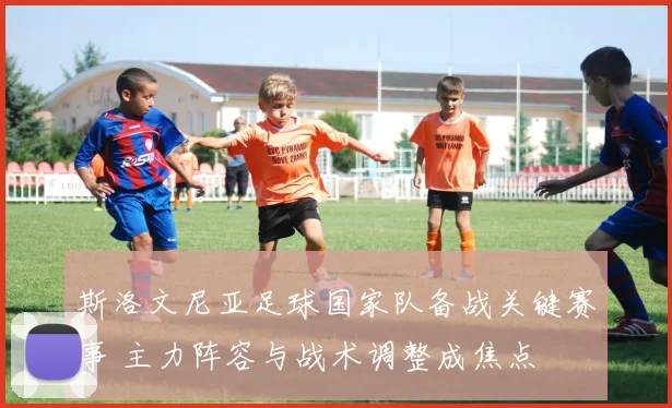 斯洛文尼亚足球国家队备战关键赛事 主力阵容与战术调整成焦点