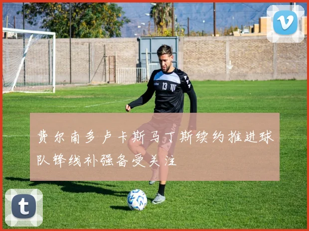 费尔南多卢卡斯马丁斯续约推进球队锋线补强备受关注