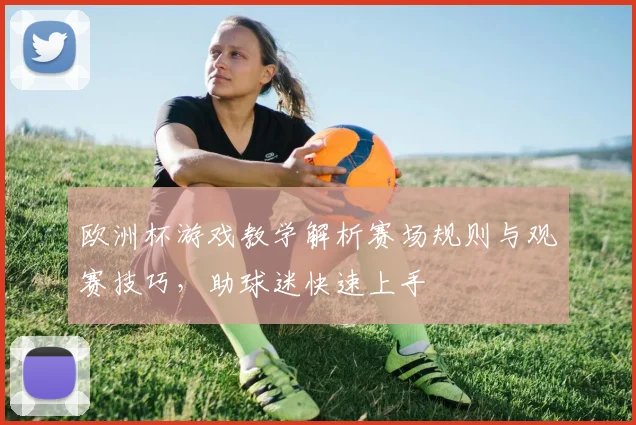 欧洲杯游戏教学解析赛场规则与观赛技巧,助球迷快速上手
