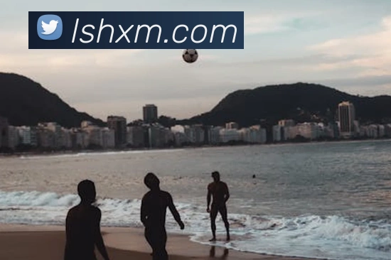 leyu乐鱼网址服务体系