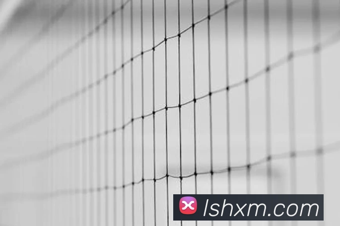 leyu乐鱼网址APP 体育赛事宣传图